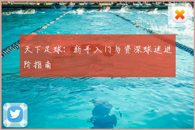 天下足球：新手入门与资深球迷进阶指南